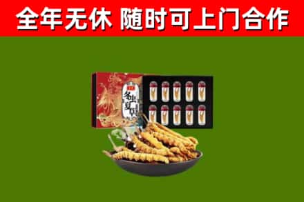 马鞍山市回收冬虫夏草价格